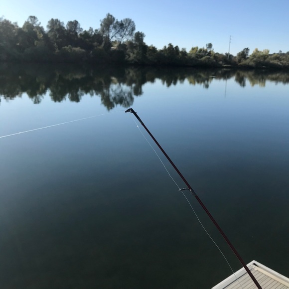 Meet your Posher, David - Picture 1 of 1